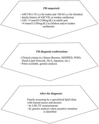 Familial Hypercholesterolemia: New Horizons for Diagnosis and Effective Management